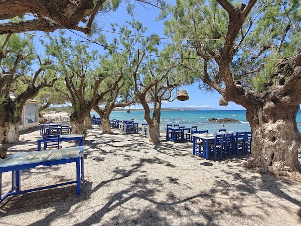 Tsalikis Seafood Restaurant 2