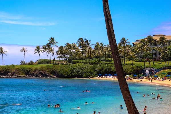 Kapalua Bay Beach 5