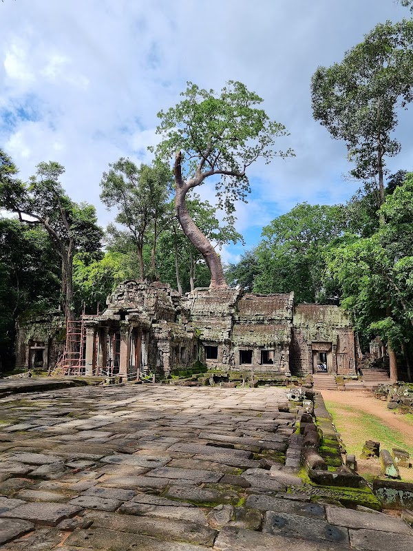 Ta Prohm Temple 1