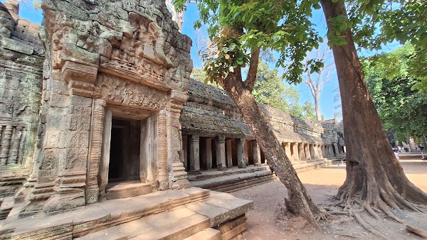 Ta Prohm Temple 4