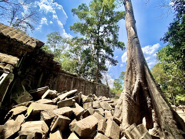 Ta Prohm Temple 2