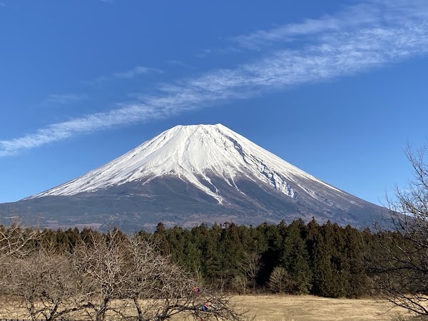 Mt. Fuji viewpoint 1