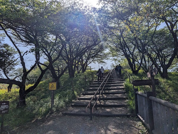 Mt. Fuji viewpoint 5