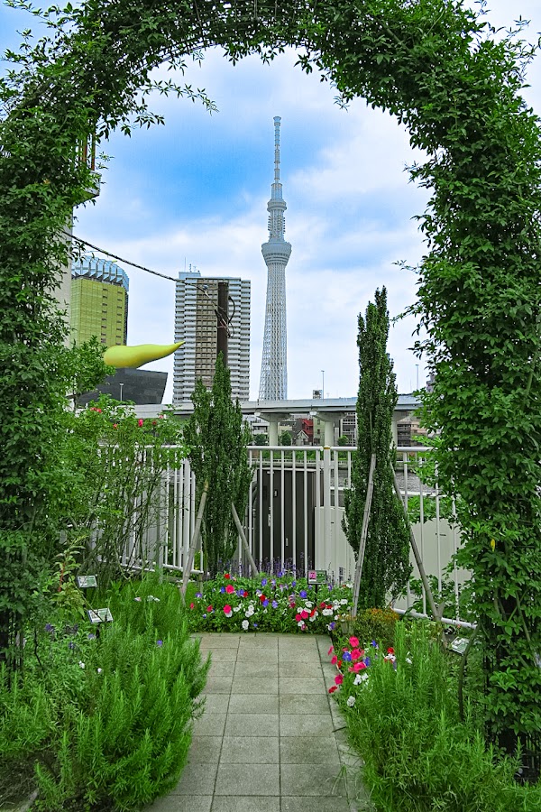 Komagatabashi Pocket Park