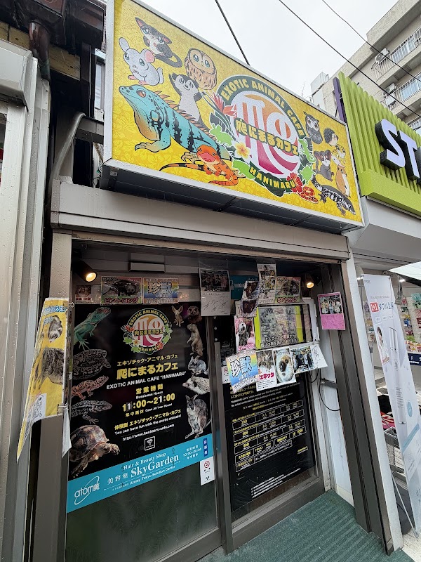 Hanimaru Cafe 2