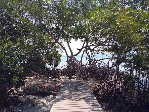 Múcura Island 4