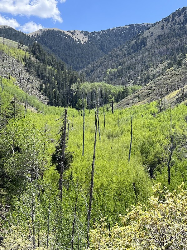 Henry Mountains