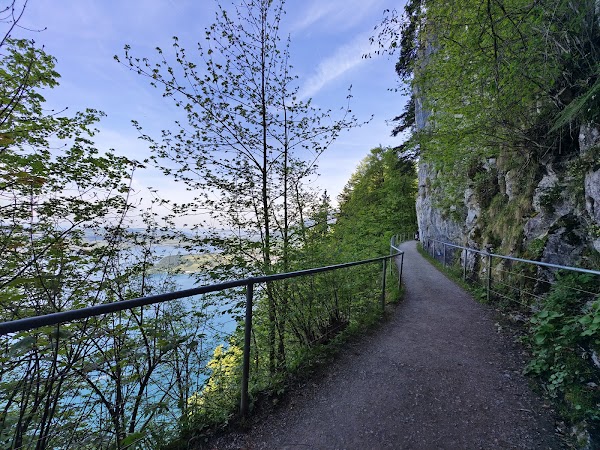 Felsenweg Bürgenstock 3