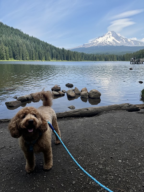 Trillium Lake 3