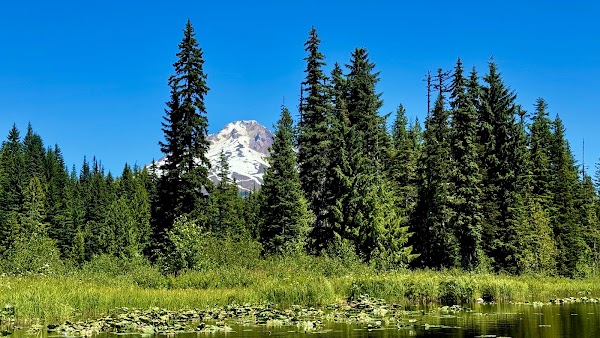 Trillium Lake 2