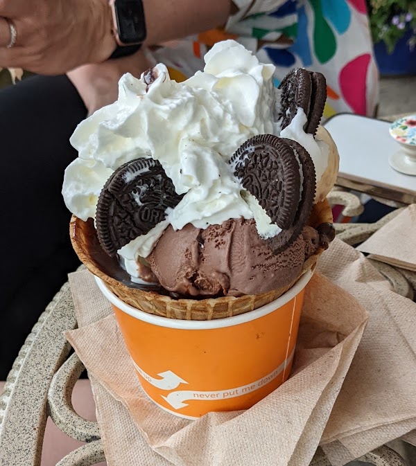 Camden Cone 5
