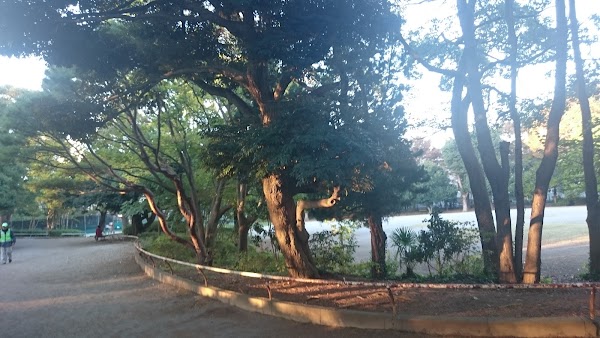 Chiba 3