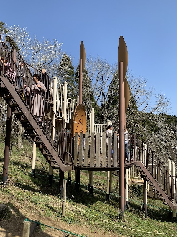 Chiba 2