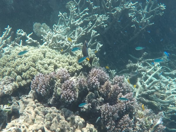 Australia 2
