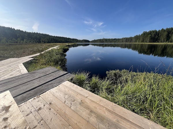 Säfstjärn 1
