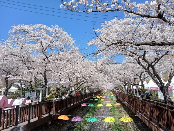 余佐川羅曼史橋
