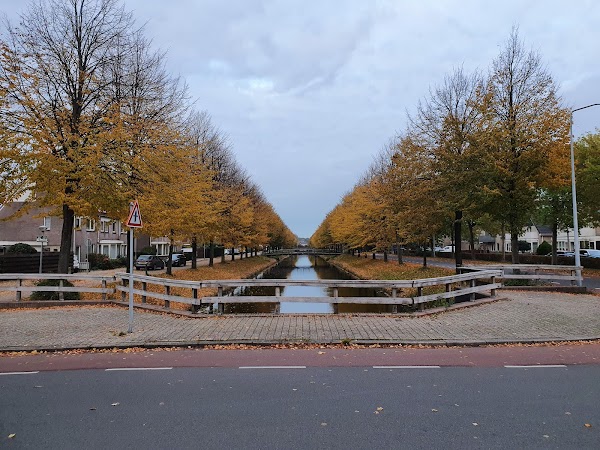 Hoorn