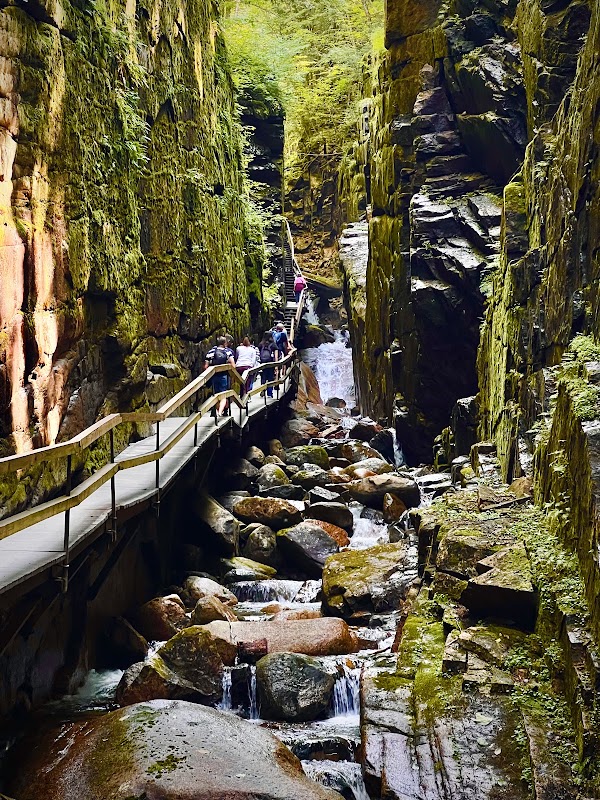 The Flume