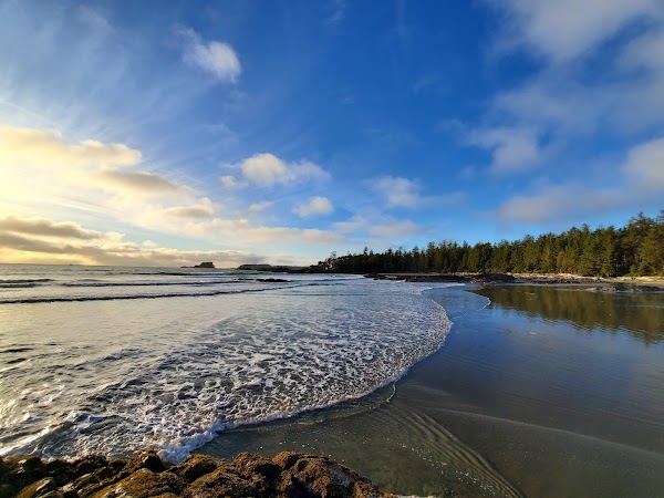 Chesterman Beach 5