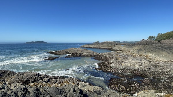 Chesterman Beach 2