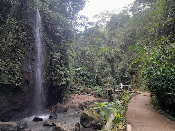 Tibumana Waterfall 5