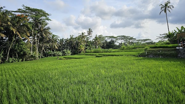 Tibumana Waterfall 2