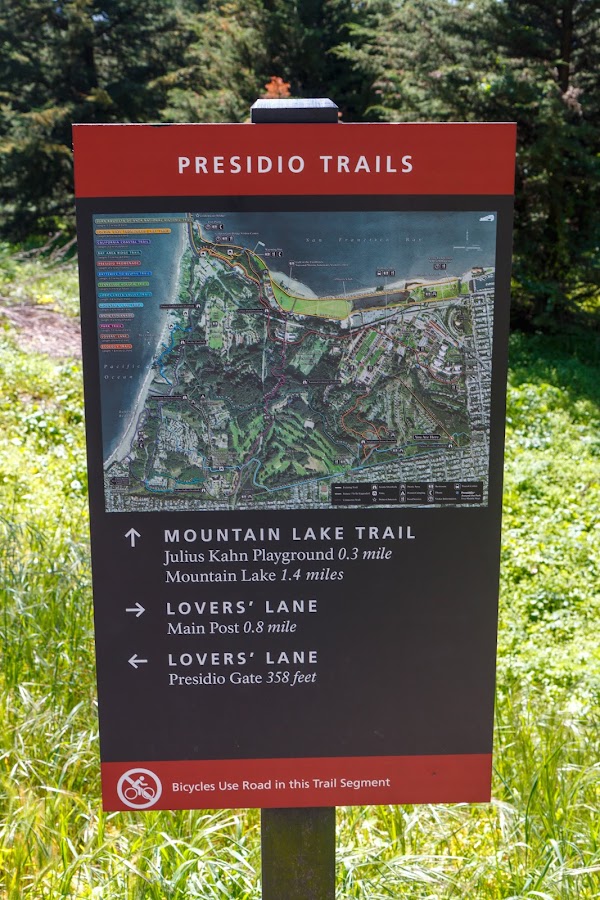 Andy Goldsworthy's Wood Line 3