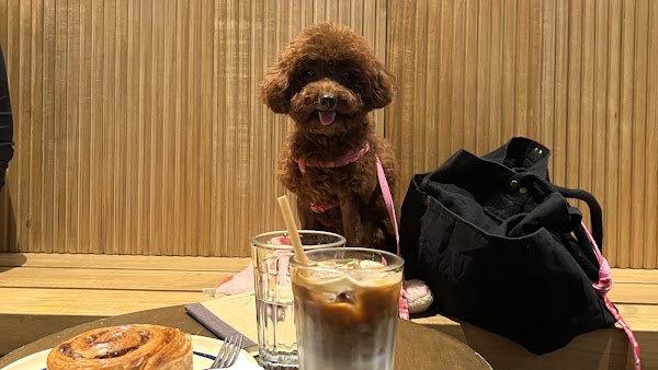 Café Slow 3
