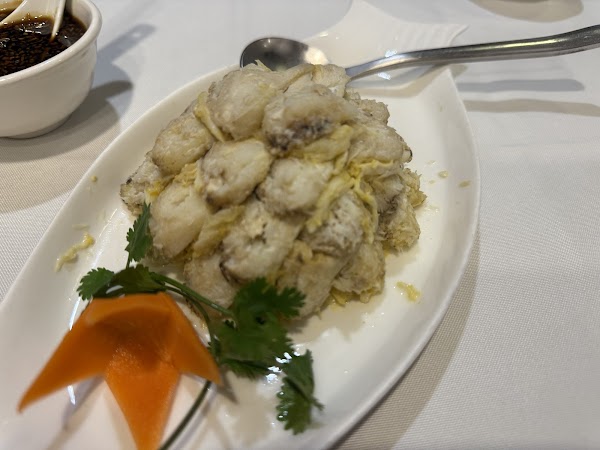 Xin Guang 4