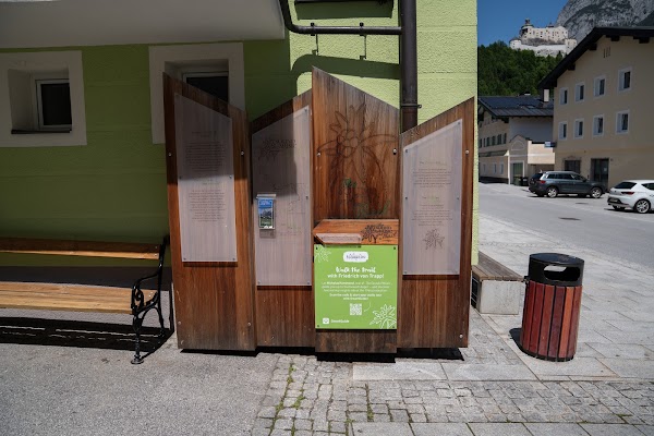 The Sound of Music Trail Werfen 1