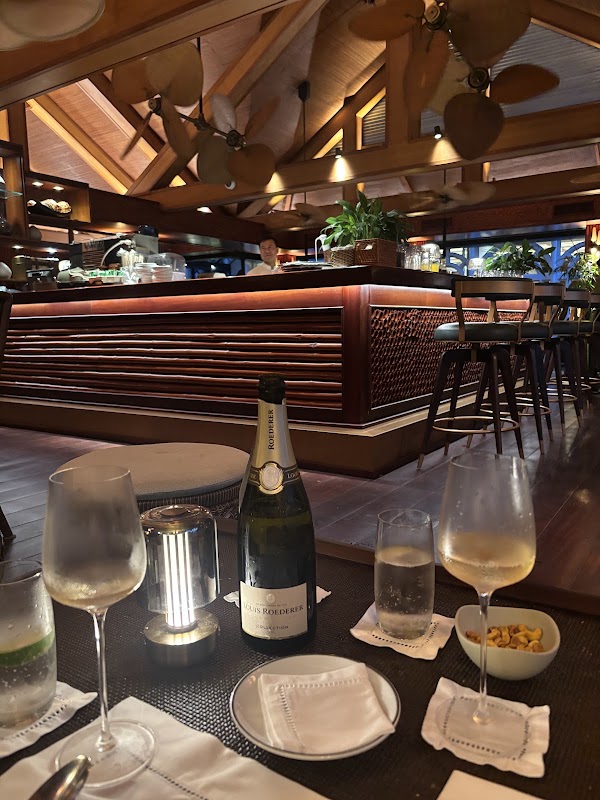 Bamboo Bar 2