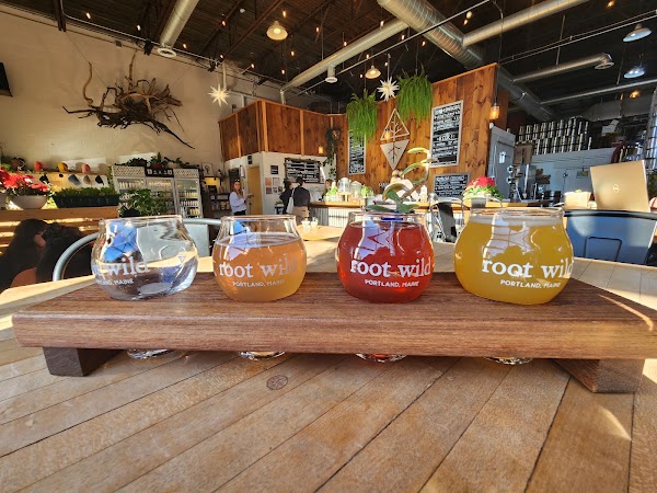 Root Wild Kombucha