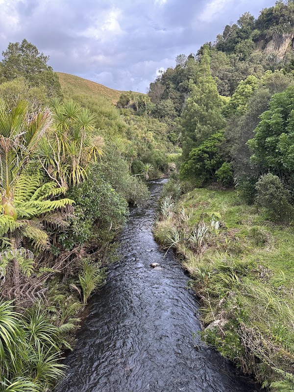 Waikaretu Bush Walk