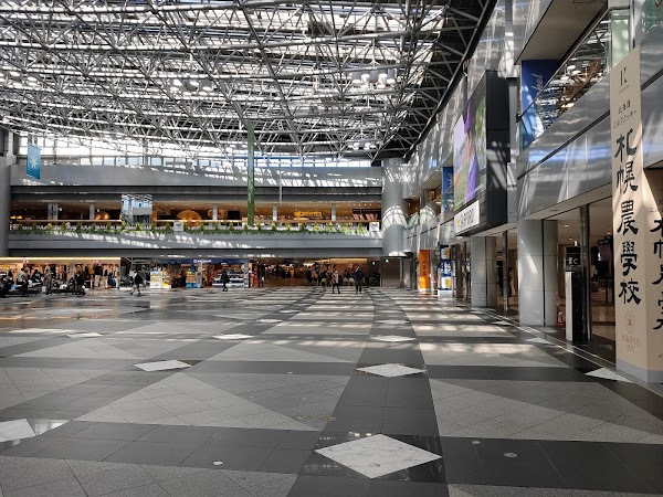 New Chitose Airport 1