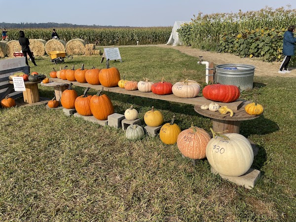 Bailey Farm