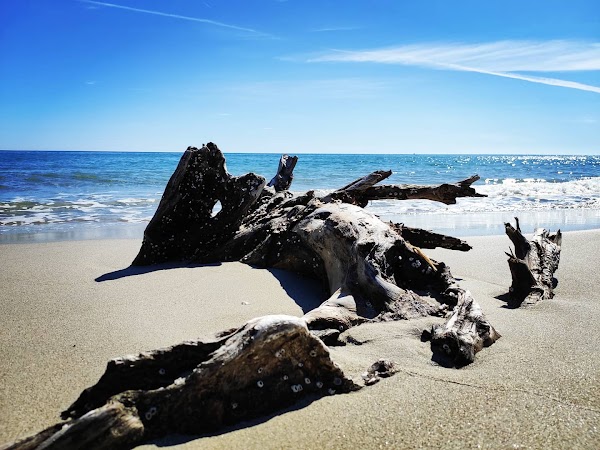 Torre dell'Orso 5