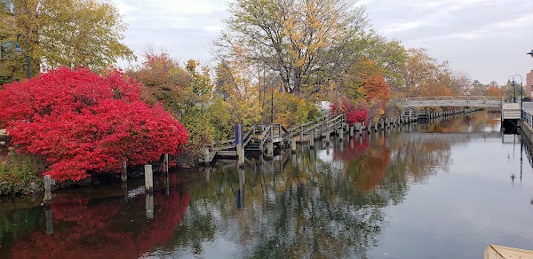 Traverse City 2