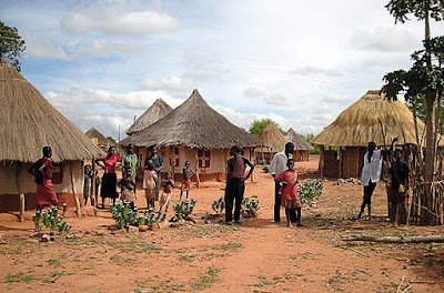 Africa 29