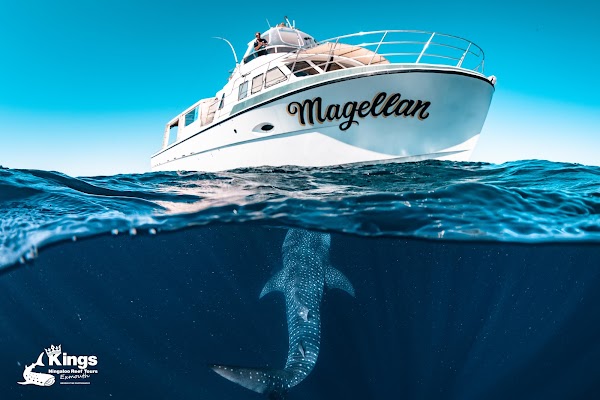 Kings Ningaloo Reef Tours 5