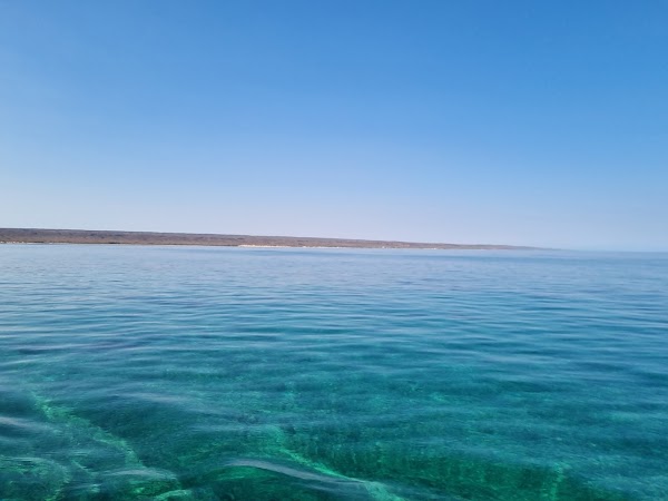 Kings Ningaloo Reef Tours 3