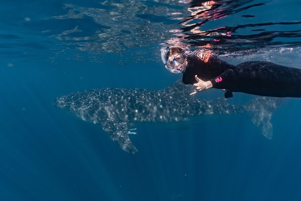 Kings Ningaloo Reef Tours 2