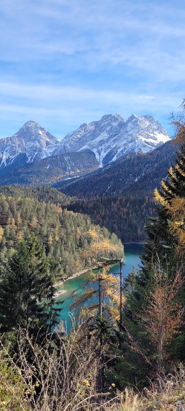 Fern Pass 1