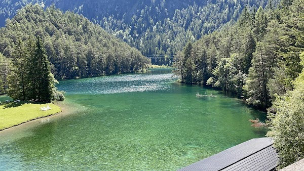 Fern Pass 4