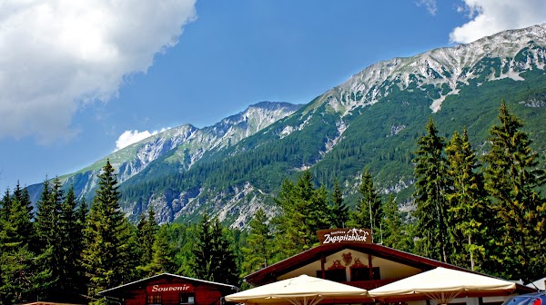 Fern Pass 3