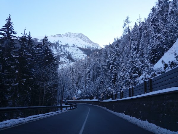 Fern Pass 2