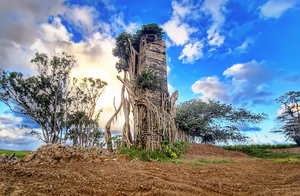 Ruines de Savinia