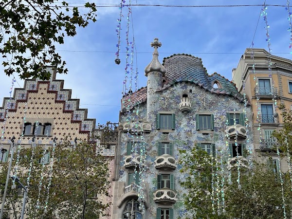 BCN 65