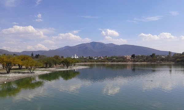 Presa Centenario