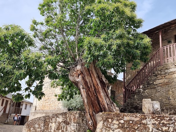 Montesinho 3
