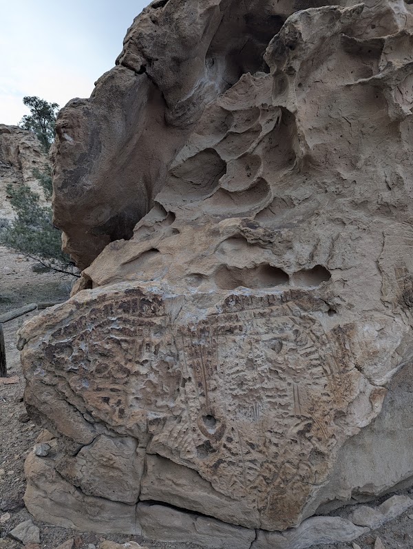 Hickison Petroglyph Recreation Area 1